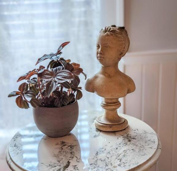 带大床的豪华间, The Vistula Rose B & B