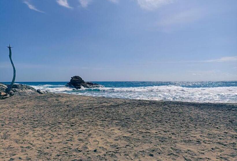 اتاق استاندارد با چشم‌انداز دریا, Cabañas Y Camping Punta Sur Mazunte