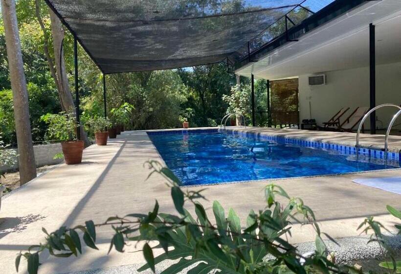 اتاق استاندارد با چشم‌انداز استخر, Balai Benedicere Bed & Breakfast
