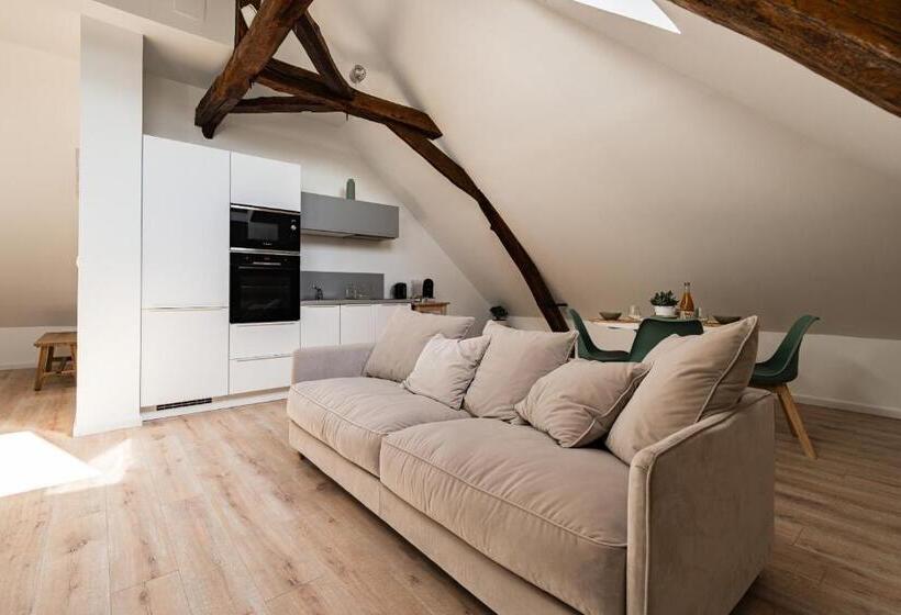 Апартаменты 1 Спальня, Le Domaine De La Rhonelle