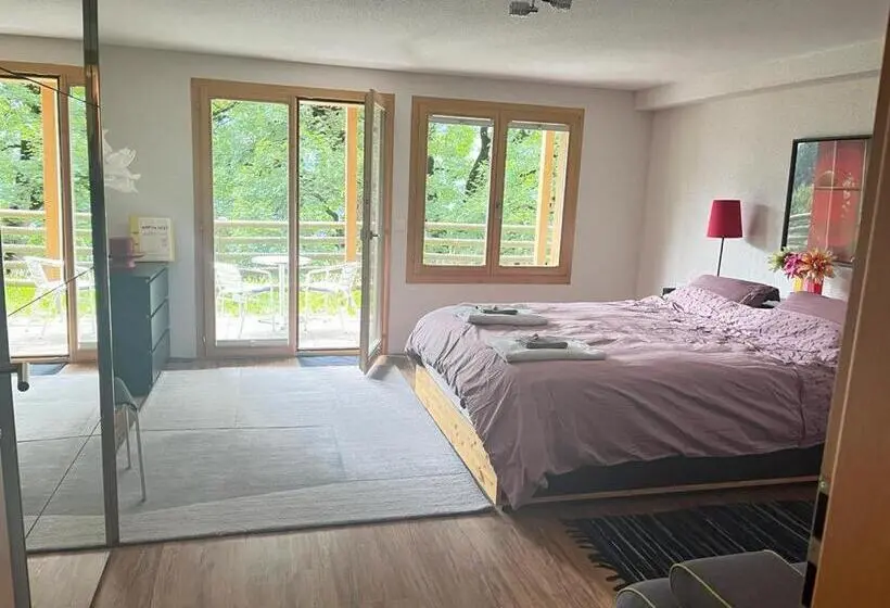 اتاق استاندارد با چشم‌انداز کوهستان, Hop In Nest Cozy Bed&breakfast In Wengen