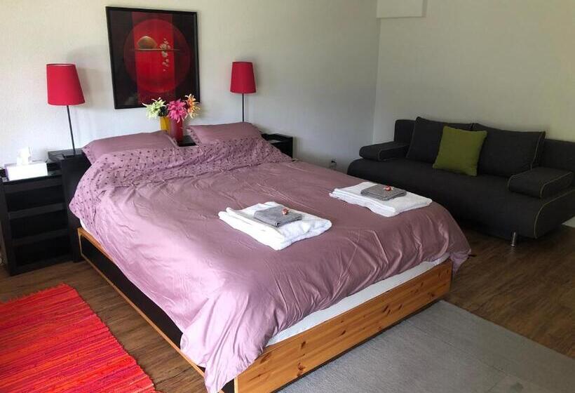 标准间带山景, Hop In Nest Cozy Bed&breakfast In Wengen