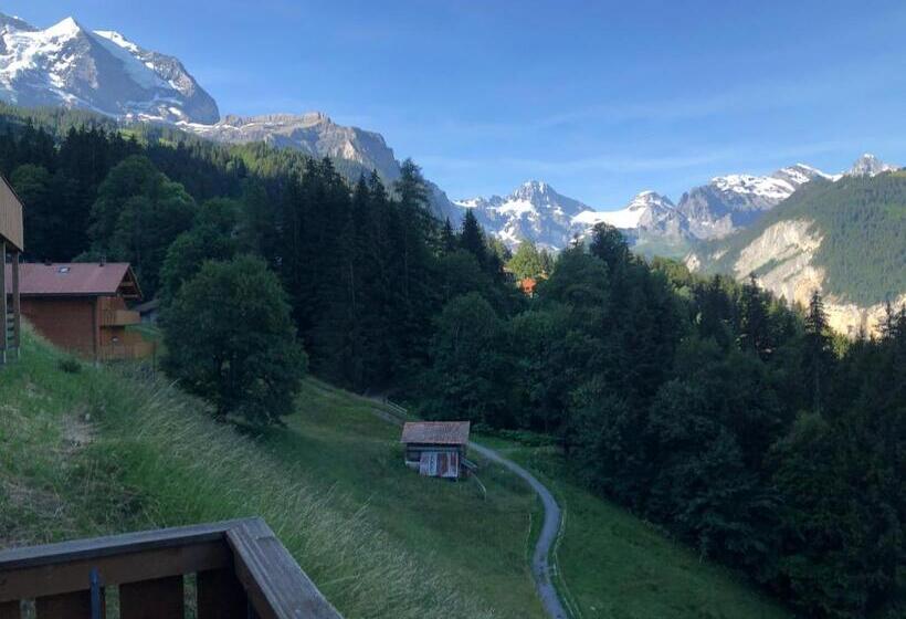 اتاق استاندارد با چشم‌انداز کوهستان, Hop In Nest Cozy Bed&breakfast In Wengen