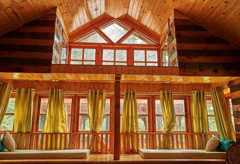 شاليه غرفة نوم واحدة, The Lazy And Slow