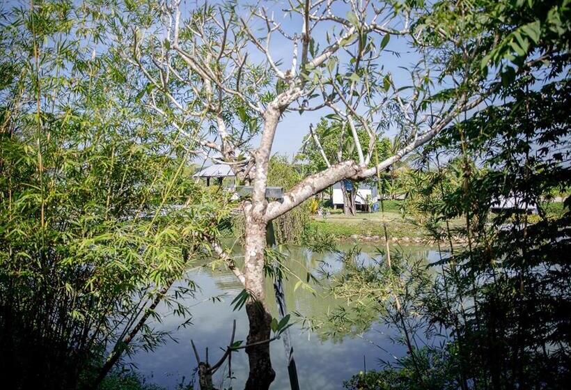 اتاق استاندارد, Lua Farmstay