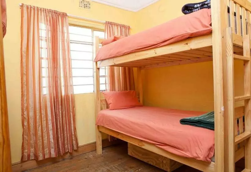 تختخواب در اتاق مشترک, Green Elephant Backpackers