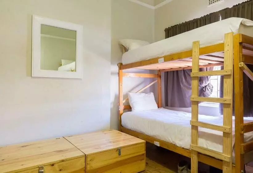 تختخواب در اتاق مشترک, Green Elephant Backpackers