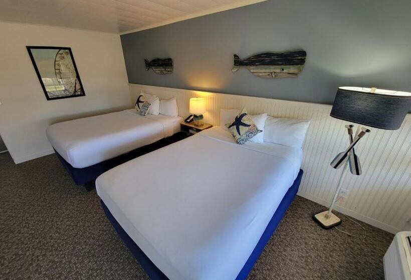 标准间带游泳池, Circle Hotel Fairfield