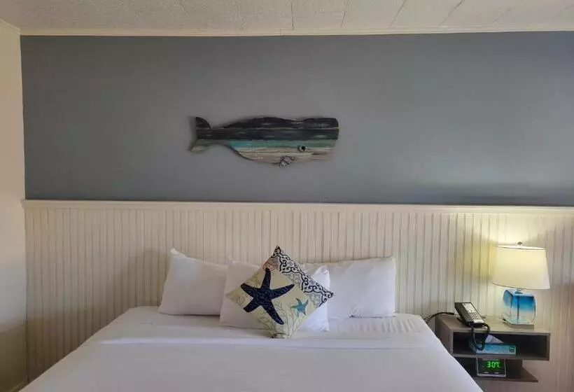 身障者適用キングサイズベッドルーム, Circle Hotel Fairfield