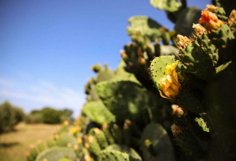 اتاق استاندارد, Agriturismo Bio Il Quarto