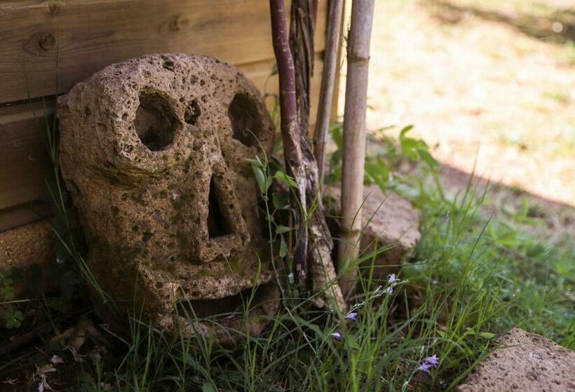 اتاق استاندارد, Agriturismo Bio Il Quarto