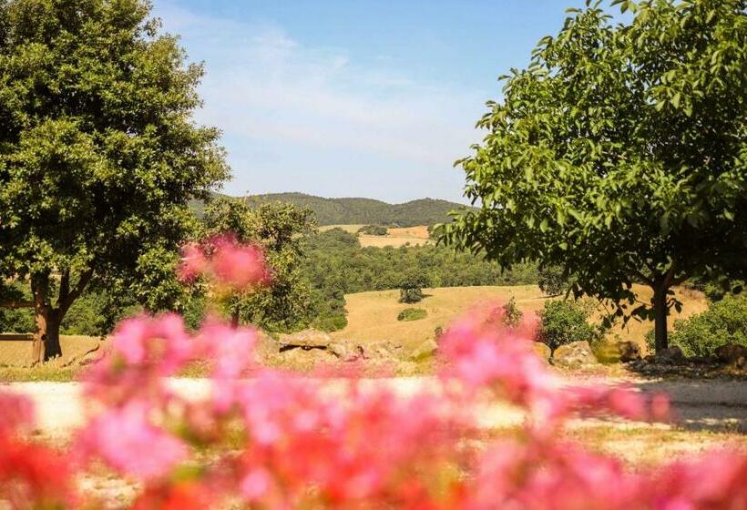 اتاق استاندارد, Agriturismo Bio Il Quarto