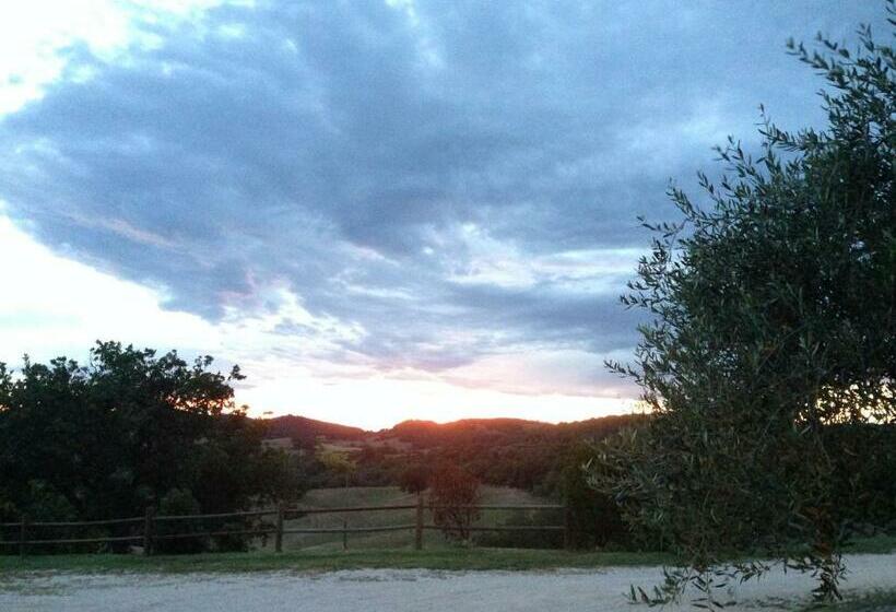 اتاق استاندارد, Agriturismo Bio Il Quarto