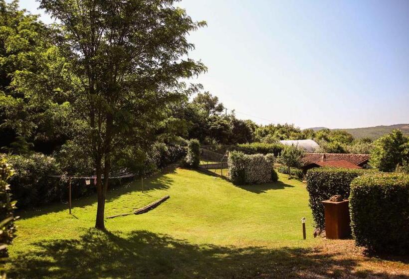 سوییت جونیور با بالکن, Agriturismo Bio Il Quarto