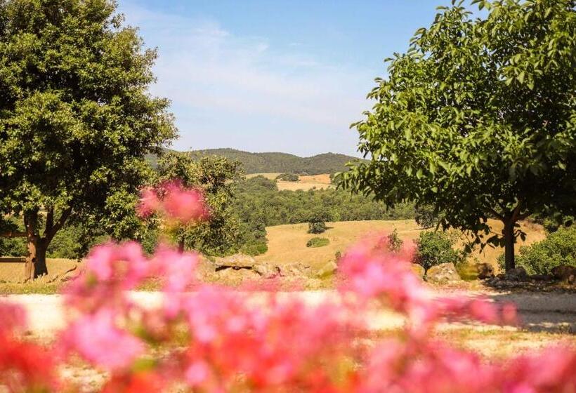 سوییت جونیور با بالکن, Agriturismo Bio Il Quarto