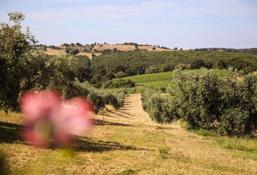 سوییت جونیور با بالکن, Agriturismo Bio Il Quarto