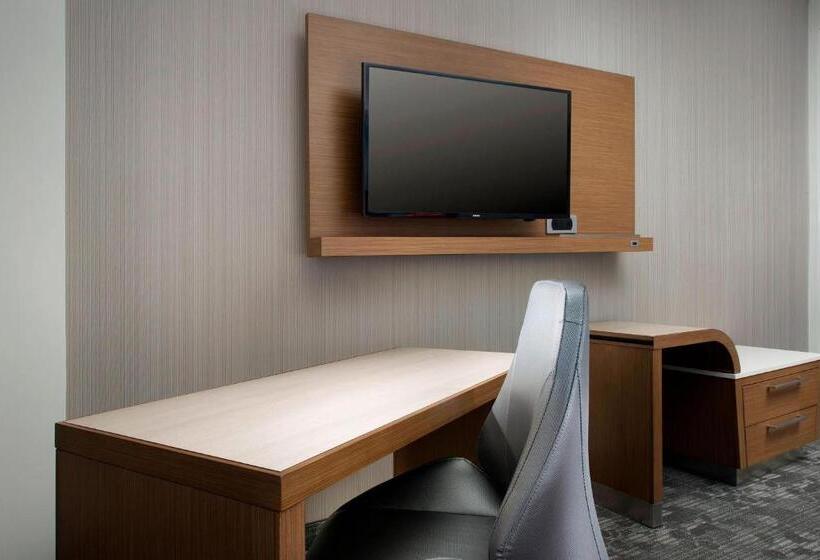 اتاق استاندارد با تخت بزرگ, Courtyard By Marriott Nashville Se/murfreesboro
