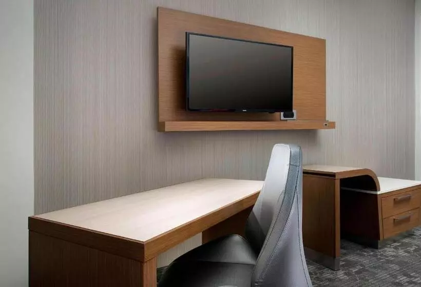 キングサイズベッドのスタンダードルーム, Courtyard By Marriott Nashville Se/murfreesboro