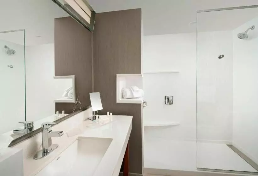 スタンダードルーム, Courtyard By Marriott Nashville Se/murfreesboro