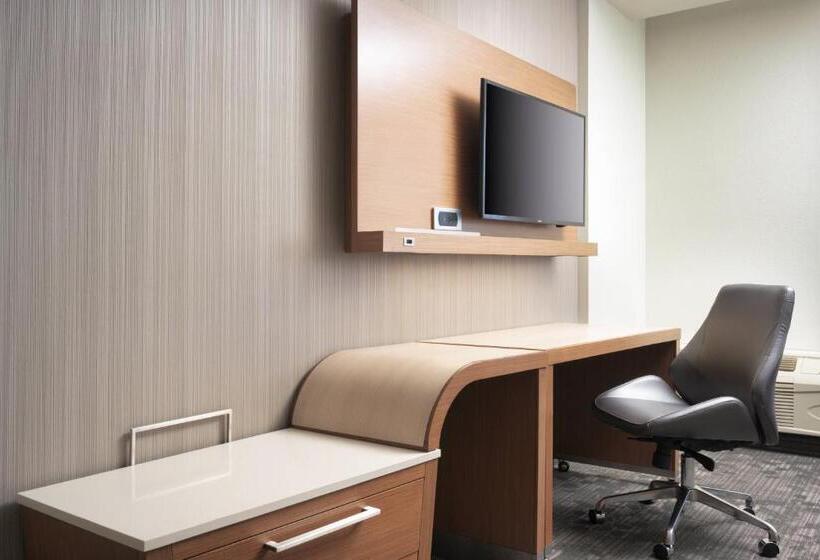 استودیو استاندارد با تخت کینگ, Courtyard By Marriott Nashville Se/murfreesboro
