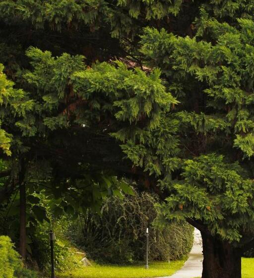Comfort room with garden view, Kalmár Panzió