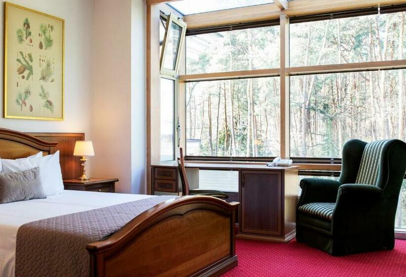 Suíte, Klub Sosnowy