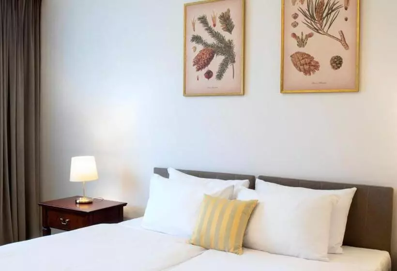 Chambre Deluxe, Klub Sosnowy