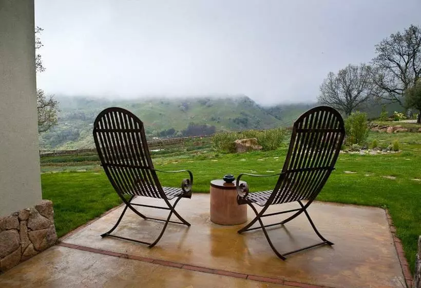 Suite, Nabia