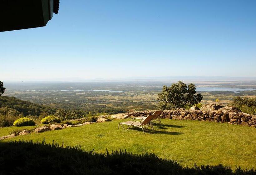 Suite, Nabia