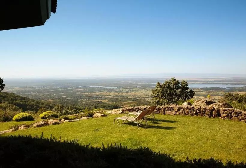 Suite, Nabia