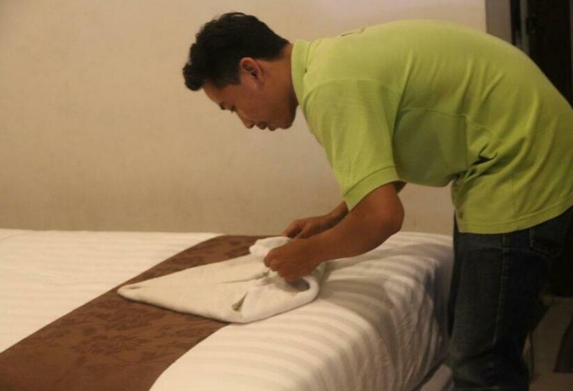 高级大房间, Palapa