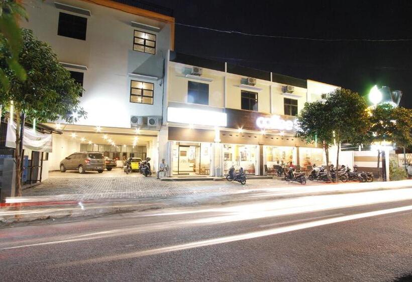 高级大房间, Palapa