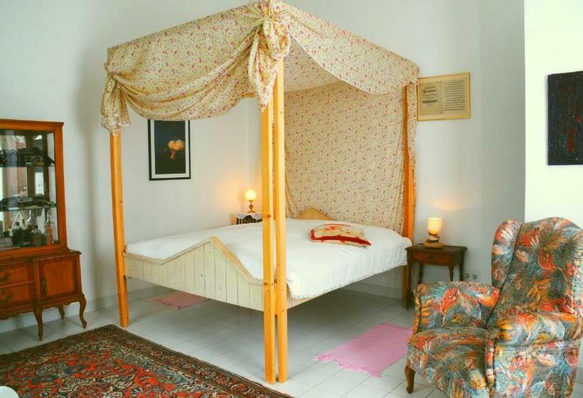 クラシックルーム, Son Baulo