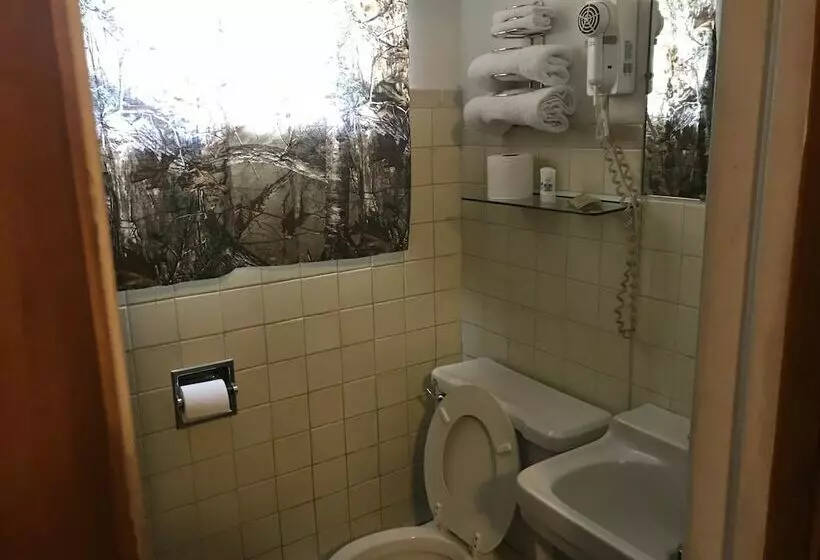 اتاق استاندارد, White Pine Motel