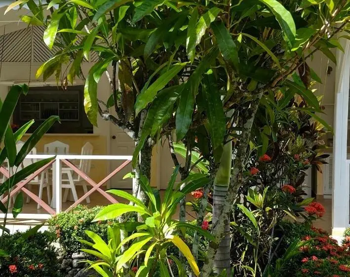 １ベッドルームのスーペリアアパートメント, Villas Mariposa