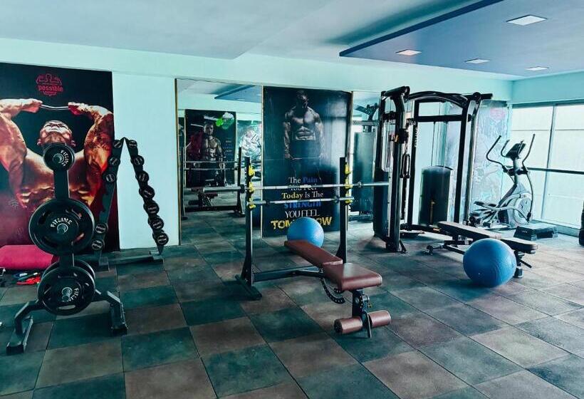 إستوديو قياسى, The Grand Anukampa Inn Pink City