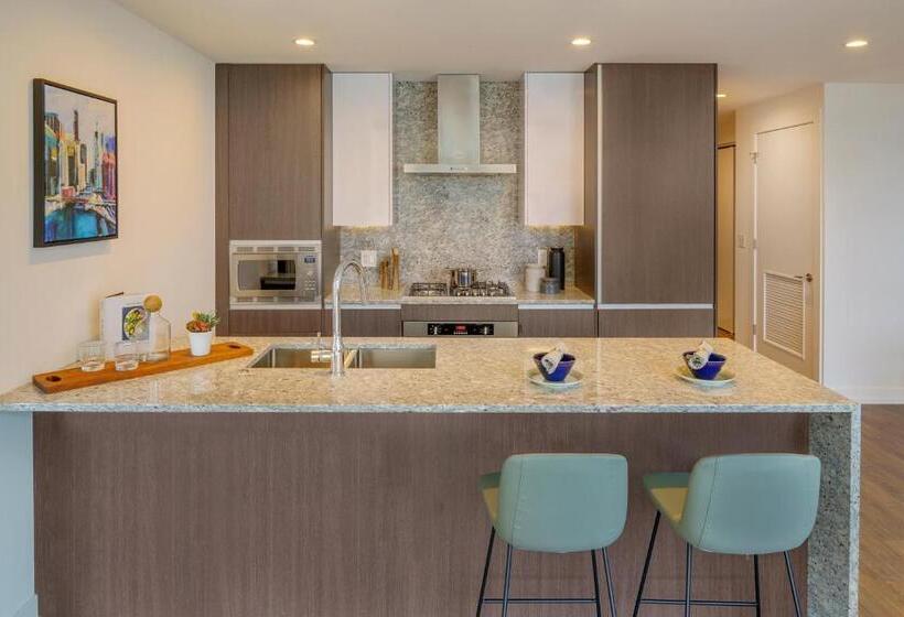 آپارتمان 1 خوابه با بالکن, Level Chicago Old Town