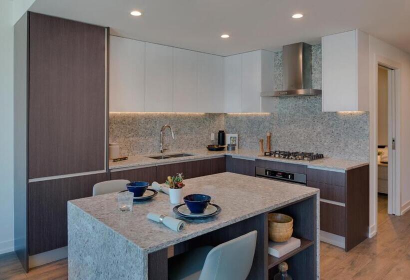 آپارتمان 1 خوابه با بالکن, Level Chicago Old Town