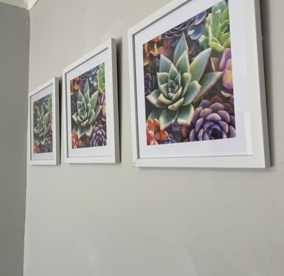 Quarto deluxe, 473 On Cliff