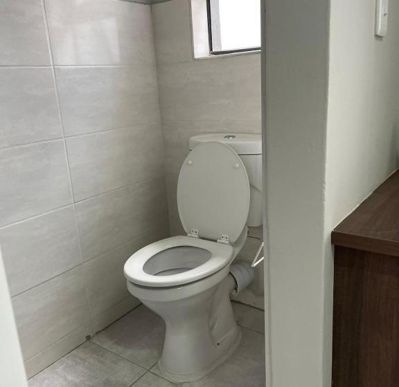 Quarto standard, 473 On Cliff