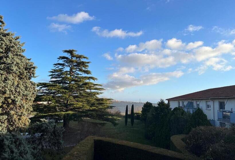 豪华工作室, Resid Artel