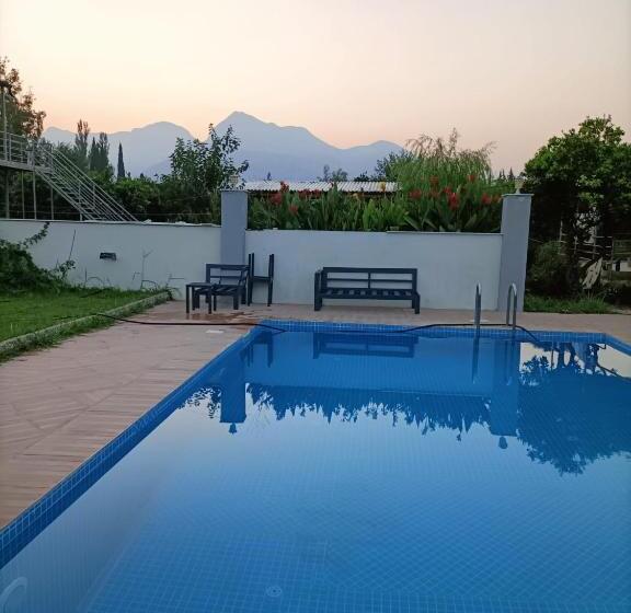 Номер Стандарт Вид на Горы, Holistic Balance