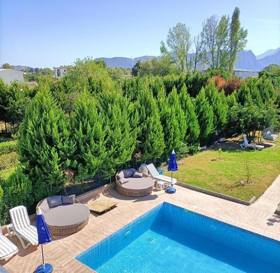 Номер Стандарт Вид на Горы, Holistic Balance