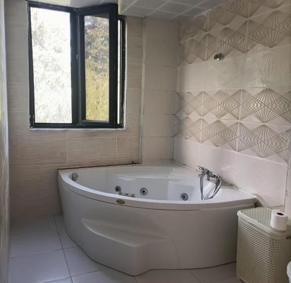 Номер Стандарт Вид на Горы, Holistic Balance