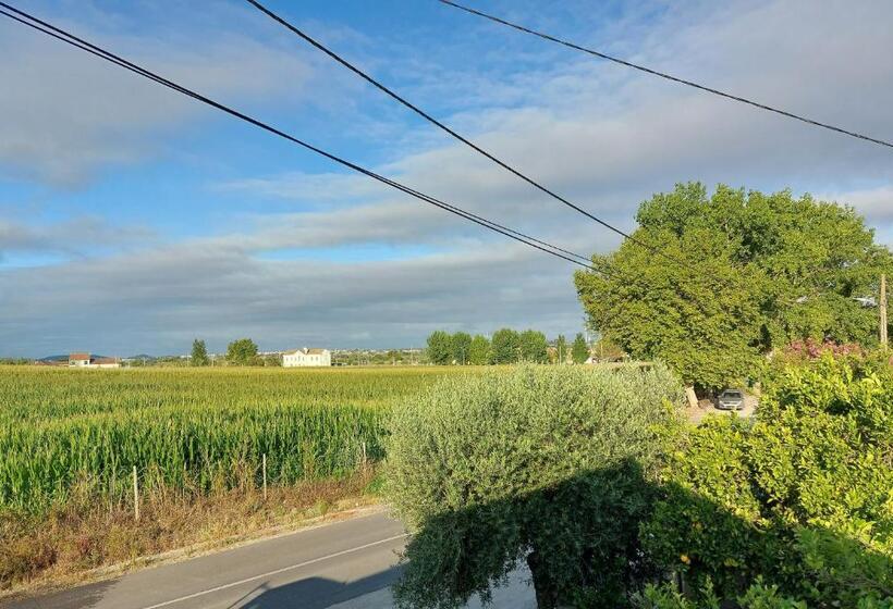 إستوديو سوبيريور, Casa Das Laranjeiras