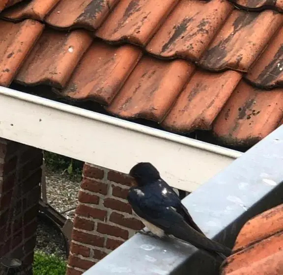 Talo 1 Makuuhuone, Slapen Bij De Brug