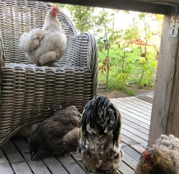 １ベッドルームハウス, Slapen Bij De Brug