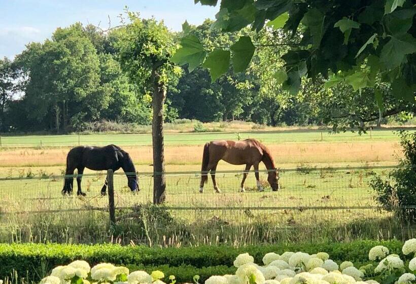 １ベッドルームハウス, Slapen Bij De Brug