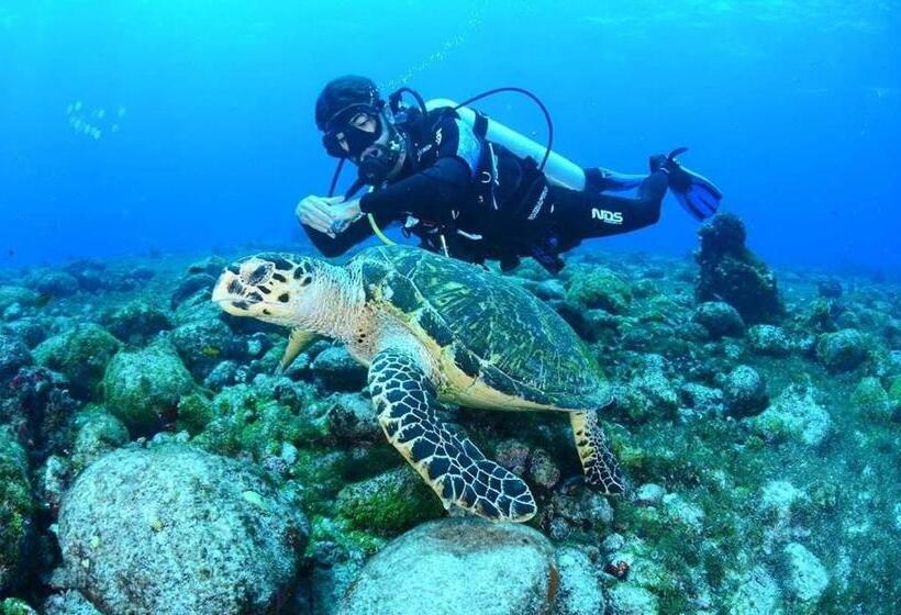 디럭스 스위트, Casa Noronheiro