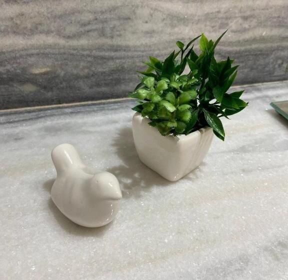 디럭스 스위트, Casa Noronheiro